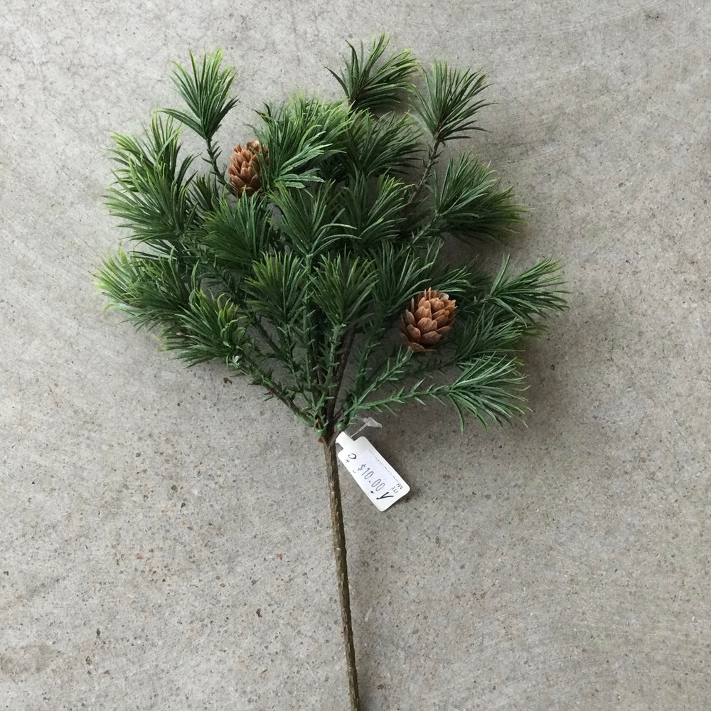 Pine stem
